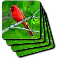Red Cardinal - Set Of 4 Ceramic Tile Coasters