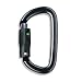 Petzl AM'D Ball-Lock Carabiner