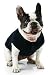 Doggie Skins Golf Shirt - 3924