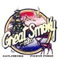 T-shirts Cities Resort Places "Great Smoky Mountains TN" XL