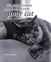 10 Spiritual Lessons you can learn from your Cat by Sandsma (B10SPIC)