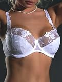 Full cup semi-sheer bra