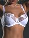 Full cup semi-sheer bra