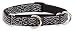Lupine Medium Martingale Style Dog Collar - Silverado 14-20