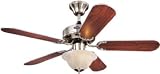 Westinghouse 7877365 Richboro SE 42 Inch Ceiling Fan, Brushed Nickel Finish