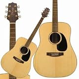 G360S G Series Acoustic Guitar