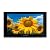 PKG-M700S�@(7�^LED QVGA���A�r�W����)