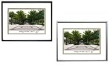 University of South Florida Undergrad Lithograph