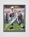 Photo File Indianapolis Colts Peyton Manning Super Bowl XLI Champions 8x10 Matte Photo