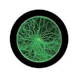 Super Bright Flat Panel Lumin Disk, Green