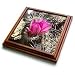 Flower on Hedgehog Cactus also called Calico Cactus.Anza-Borrego Desert State Park, California - 8x8 Trivet With 6x6 Ceramic Tile