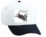 White Cap with mormon, insect, bug, grey, cricket
