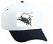 White Cap with mormon, insect, bug, grey, cricket