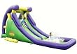 Double Inflatable Water Slide
