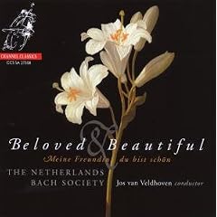 Beloved & Beautiful