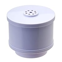 Crane Hs-3812 Crane Germ Defense Humidifier Filter, White