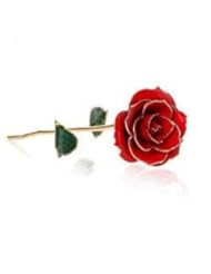 Home: ZJchao(TM) love forever Long Stem Dipped 24k Gold Foil Trim Rose, Best Gift for Valentines Day, Mothers Day, Anniversary, Birthday Gift - ZJchao(TM)