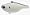 Chartruese Shad
