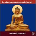 La v�ritable tranquilit� de l'esprit - DVD