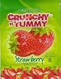 Crunchy `N` Yummy Organic Freeze Dried Strawberry Fruit Snacks (Pack of 6)