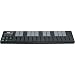 KORG nanoKEY 25-Key USB MIDI Controller Keyboard - Black