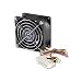 Electronics : Vantec Tornado TD8038H 80x80x38mm Double Ball Bearing High Performance Case Fan (Black)