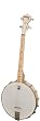 Deering Goodtime 17-Fret Tenor Banjo