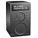 Electronics : REVO Pico Wi-Fi Portable Outdoor FM and Internet Radio