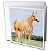 Horse - Palomino Quarter Horse - Greeting Cards-12 Greeting Cards with envelopes