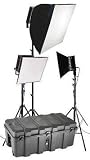 Studio Light ALZO 600 - Portrait 3-Light Kit w/ case - Continuous lights perfect for digital still photography and Video of individuals and products