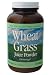 Wheat Grass (Organic) Juice Powder - 6 oz