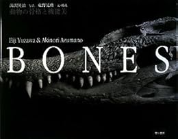 BONES ― 動物の骨格と機能美