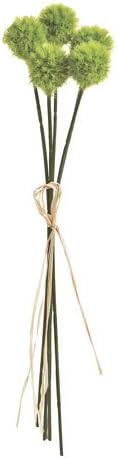 FM006788-23 pick Pompon (japan import)