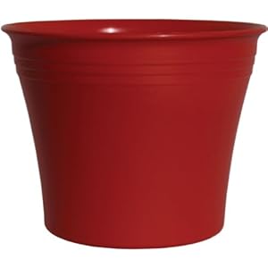 Rush Creek Designs PIM2021014328 Aspen Planter Red