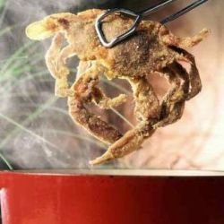 1 Dozen Jumbo Soft Shell Crabs