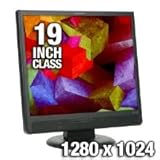 Planar PL1910M-BK 19-Inch Digital/Analog LCD Monitor with Speakers (Black)