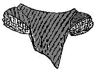 1850-60 Ball Gown Bodice Pattern (Large- 18-22)