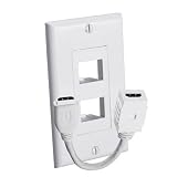 Dual Female In HDmi Wall Plate