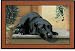 Doormat - D91 Black Lab - 18 x 27 Indoor/Outdoor Designer Mat