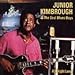 Do the Romp! lyrics Junior Kimbrough & the Soul Blues Boys