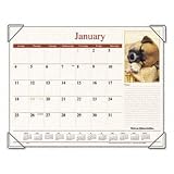 CALENDAR,DSKPD,MNTH,PUPS -RECYCLED (AAGDMD16632);