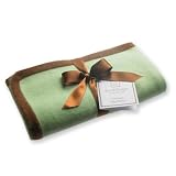 Cashmere Blanket in Lime with Mocha Trim