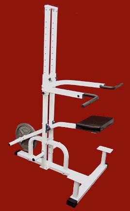 Assisted Chin & Dip Station