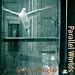 Parallel
Worlds