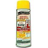 PB Blaster Penetrating Catalyst 16 oz. aerosol