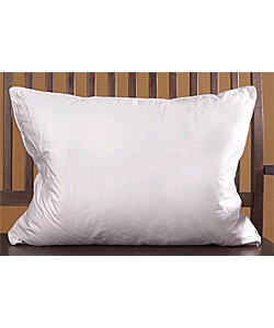 Compare Prices Marriott Down Surround Queen Pillow Complete Set 4
