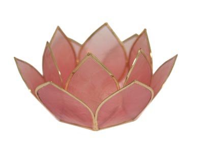 Mini Rose Quartz Capiz Tealight Holder