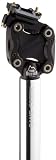 Cane Creek Sattelst&uuml;tze mit Federung Thudbuster ST, silber, 33.9 mm &Oslash; x 450 mm L&auml;nge, ST4339SXL