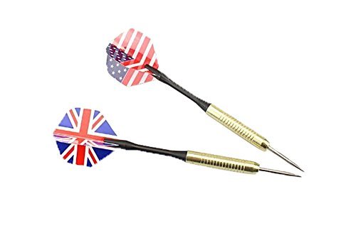 Leegoal 6PCS Copper Steel Tip Darts Needle Dart Flights Play Dart Steel Throwing Toy(Random Color)