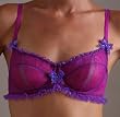 VIP Bra 1824.01 (36b, Sassy Pink)